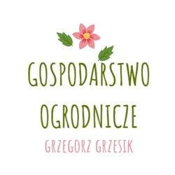 Produkcja i sprzedaż kwiatów. Gospodarstwo Ogrodnicze Grzegorz Grzesik.