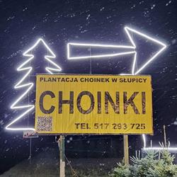 Plantacja Choinek w Słupicy