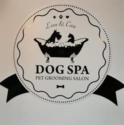 Dog Spa Mrągowo