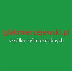 IglakMierzejewski szkółka drzew krzewów ozdobnych
