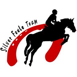 Stadnina Silver Foule Team