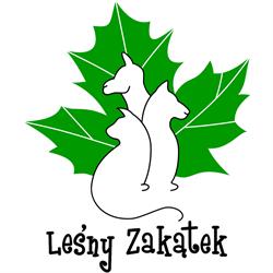 Leśny Zakątek - alpaki