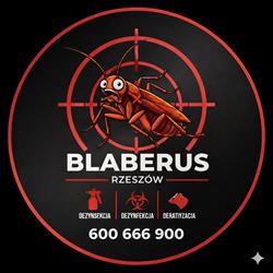 Blaberus - Dezynsekcja i deratyzacja Rzeszów Usuwanie karaluchów, os i szerszeni, ozonowanie