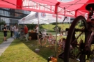 bike day Dr Albin
