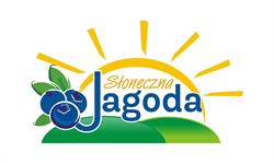 "Słoneczna Jagoda" Plantacja Borówki Amerykańskiej