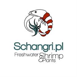 Schangri.pl - Sklep Akwarystyczny - Podwodny Świat
