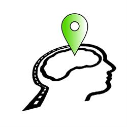Neurotrans Badania Psychotechniczne Kierowców