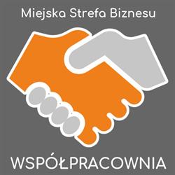 Miejska Strefa Biznesu