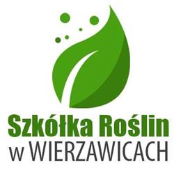 Szkołka Roślin w Wierzawicach