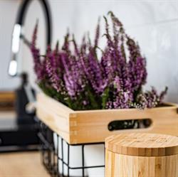 Apartamenty BiGMARC