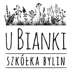 u Bianki. Szkółka bylin traw i paproci.