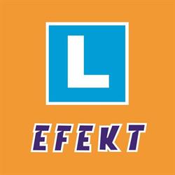 Nauka Jazdy OSK EFEKT Łęczna