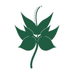Pure Perfection Skin & Body Clinic