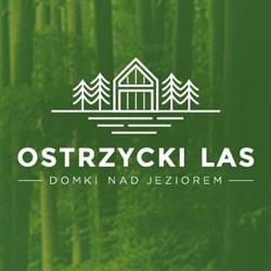 Ostrzycki Las - domki nad jeziorem