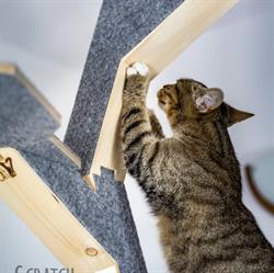 ScratchMeCat