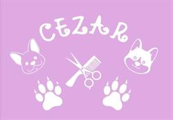 CEZAR PSI SALON PIĘKNOŚCI