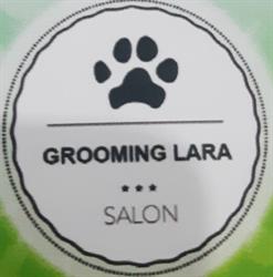 Grooming Lara strzyżenie i pielęgnacja psów