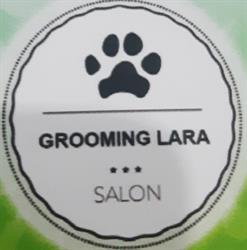 Grooming Lara strzyżenie i pielęgnacja psów
