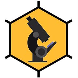 HoneyLab Teper & Waś s.c.