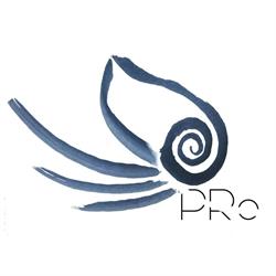 Pro - przestrzeń rozwoju