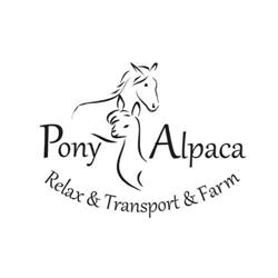 Pony Alpaca