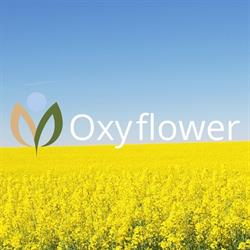 OxyFlower - Łagodna tlenoterapia hiperbaryczna, Toruń