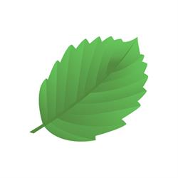 Ośrodek diagnostyczno-terapeutyczny Zielona Olcha