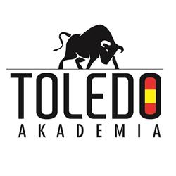 Akademia Toledo