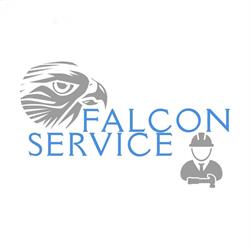 Falcon Service Sp. z oo