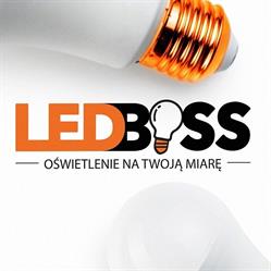 LedBoss Sklep z oświetleniem LED, producent oświetlenia LED na wymiar