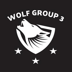 Wolf Group 3 Międzynarodowa Agencja Detektywistyczna