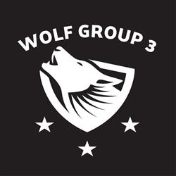Wolf Group 3 Międzynarodowa Agencja Detektywistyczna