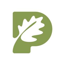 Niepubliczna Szkoła Podstawowa w Rękusach