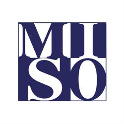 Międzynarodowy Instytut Społeczeństwa Obywatelskiego (MISO)