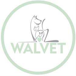 Walvet