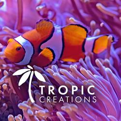 Tropic creations