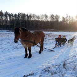 Gospodarstwo Agroturystyczne Dereniowydom.pl