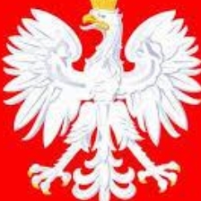 KOMORNIK SĄDOWY PUŁTUSK NASIELSK MICHAŁ LISIECKI