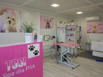Salon-Lapka-Tosi