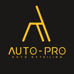 Auto Pro Auto Detailing