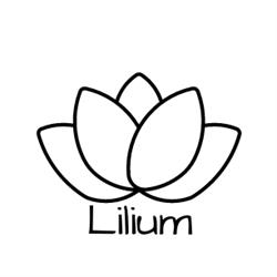 Lilium Poradnia Psychoterapii i Diagnozy Psychologicznej