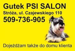 Psi Salon Gutek
