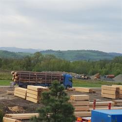 Tartak STANDREW