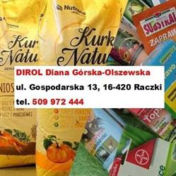 Dirol Diana Górska-Olszewska
