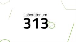Laboratorium 313