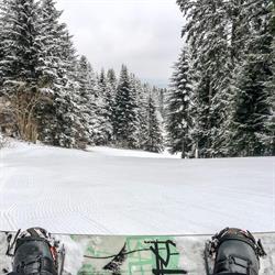 Snowboard Weremień