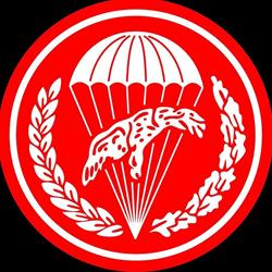 16 Batalion Powietrznodesantowy im. gen. bryg. Mariana Zdrzałki