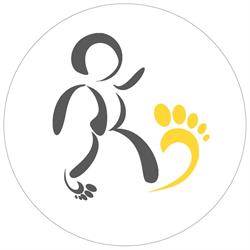 Fizjopodologia - fizjoterapia i diagnostyka stóp
