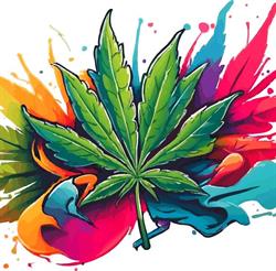 Polska Dyspenseria CBD Lublin