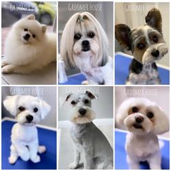 Groomer House